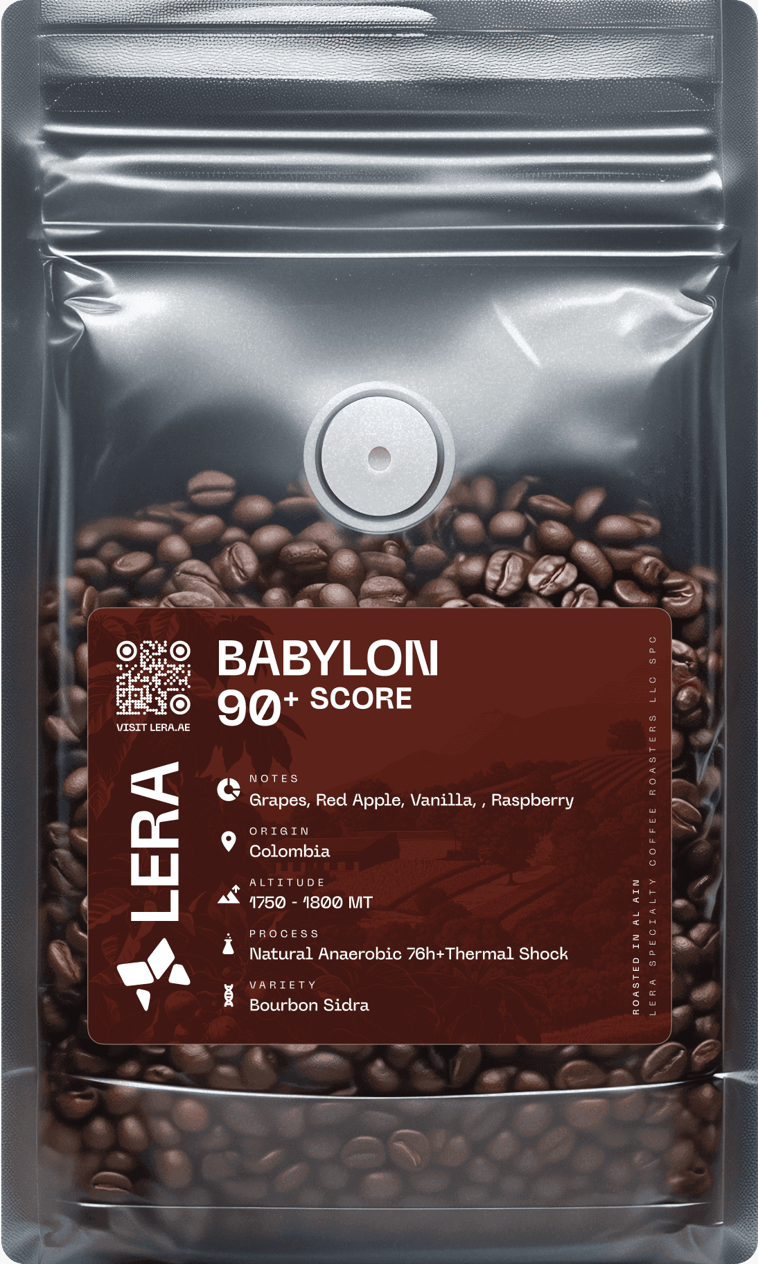 Babylon Babylon